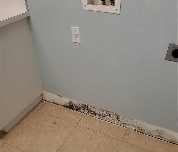 Mold In Home Previous to Remediation