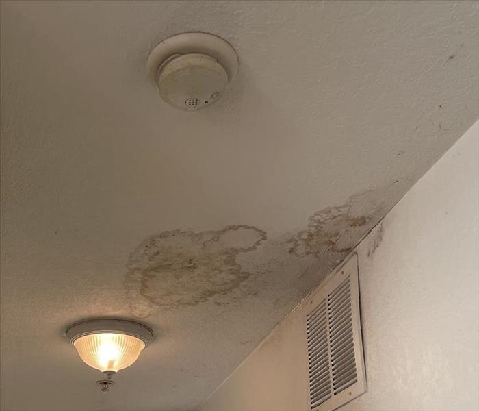 a picture of the ceiling with dark circles on it caused by water damage 