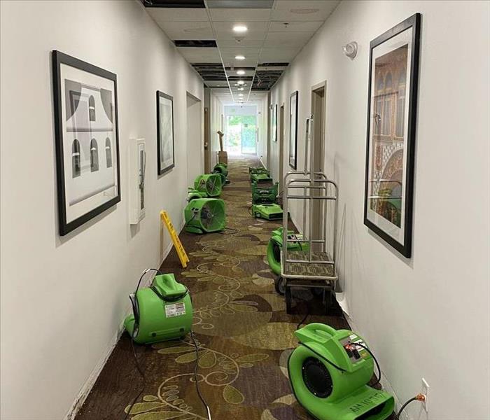 Here is a picture of our air movers used to dry the wet environment! 